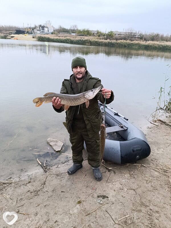 Максим, Каменск