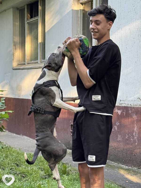 Максим, 19, Видном — анкета №3340685