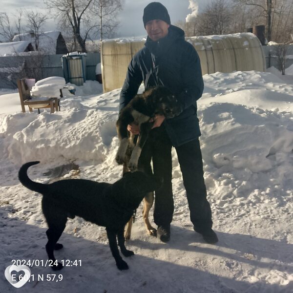 Константин, 42, Нижнем Тагиле — анкета №3340584