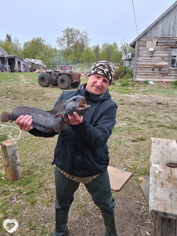 Ник, 38, Архангельске — анкета №3343974