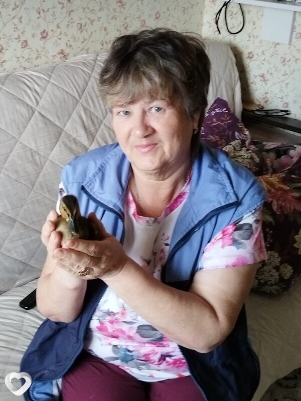 Надя, 60, Вологде — анкета №3349378