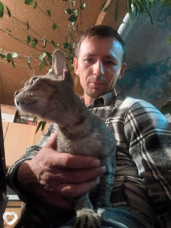 Александр, 36, Алматы — анкета №3359205