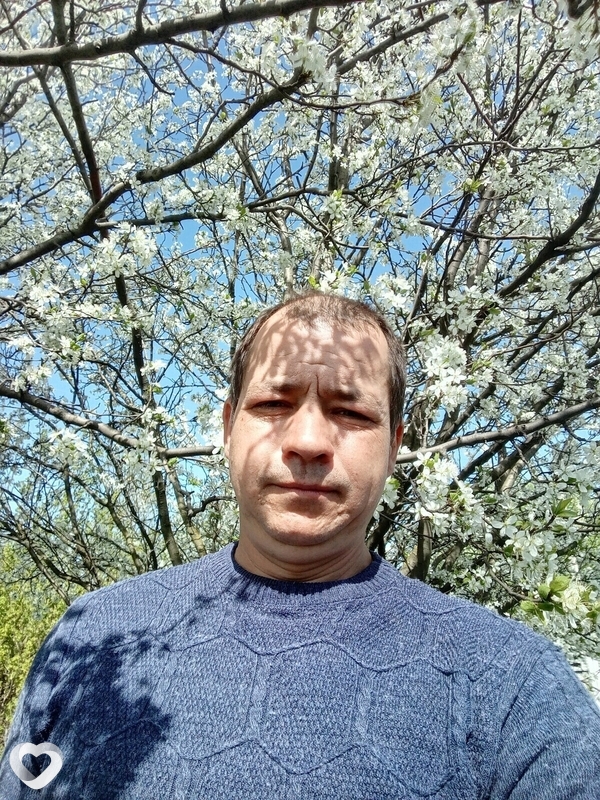 Дмитрий, 41, Губкине — анкета №3365003