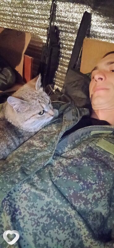 Mikhail, Прохладный