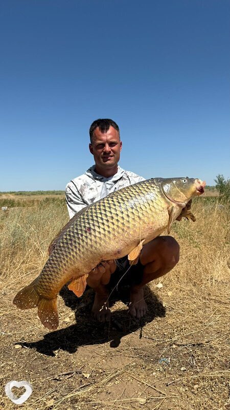 Dmitry, 46, Волжском — анкета №3370981