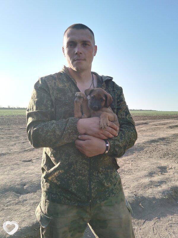 Aleksandr, 37, Гомеле — анкета №3371307
