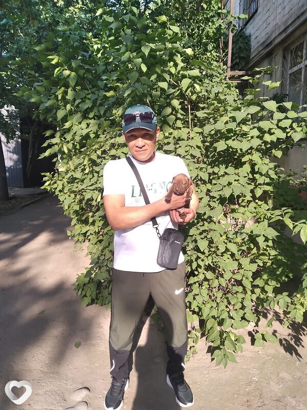 Шах, 46, Бишкек — анкета №3373861
