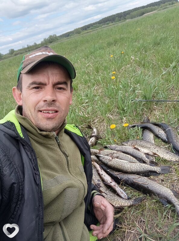 Євгеній, Борзна