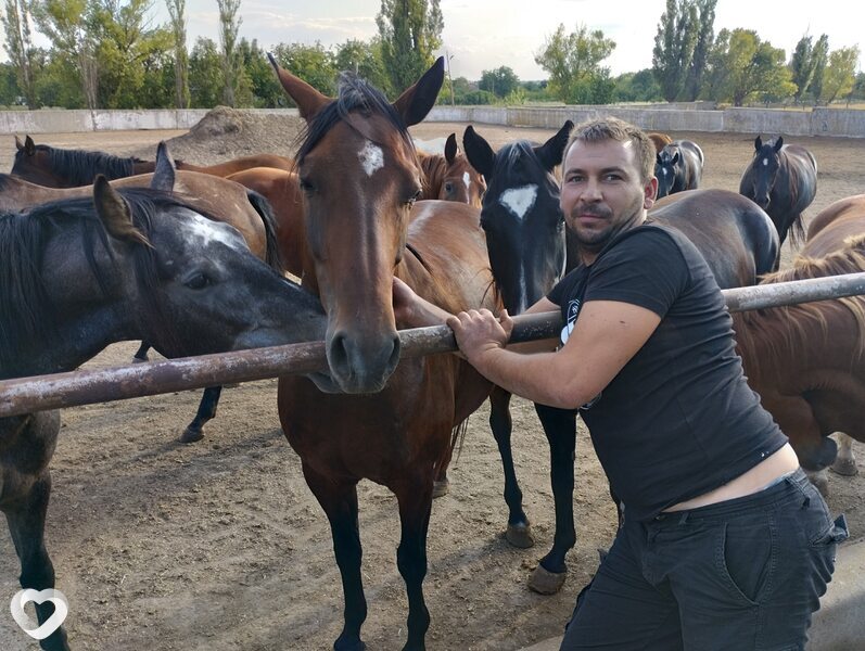 Стетхан, 35, Волновахе — анкета №3383162