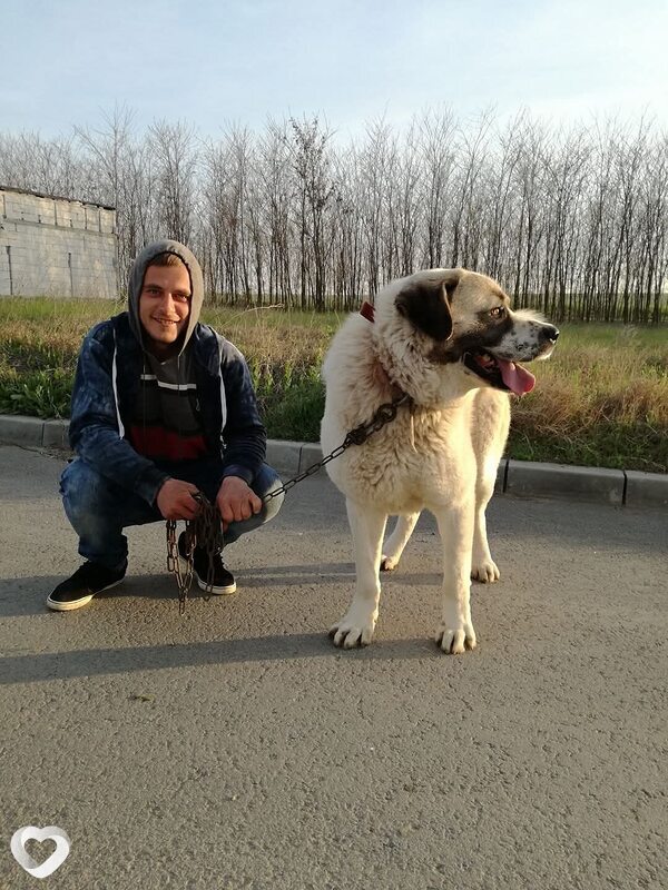 Cosmin, Париж