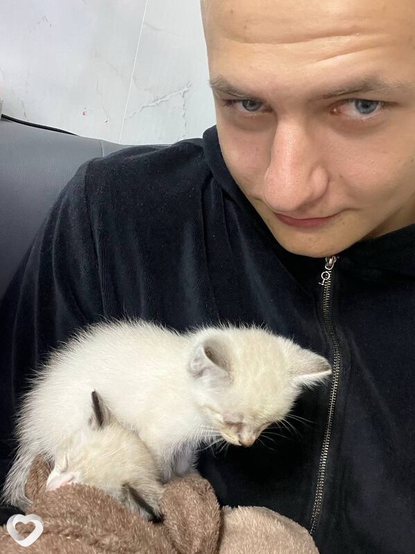 Дмитрий, 21, Новосибирске — анкета №3394539