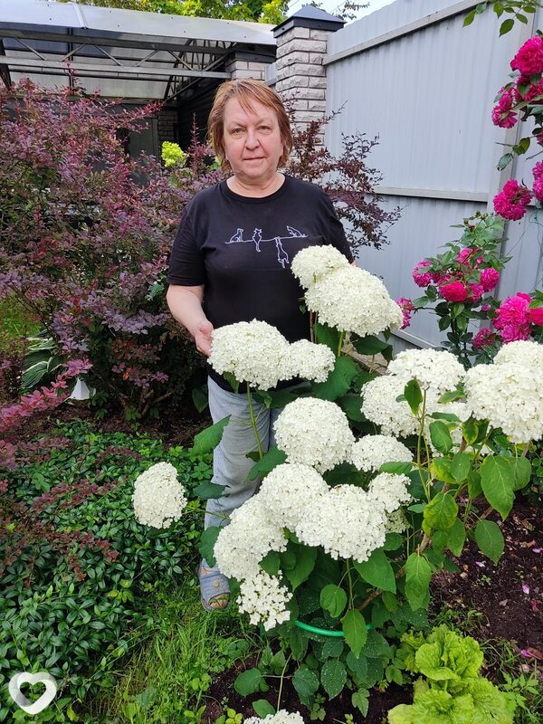 Марина, 64, Санкт-Петербурге — анкета №3400362