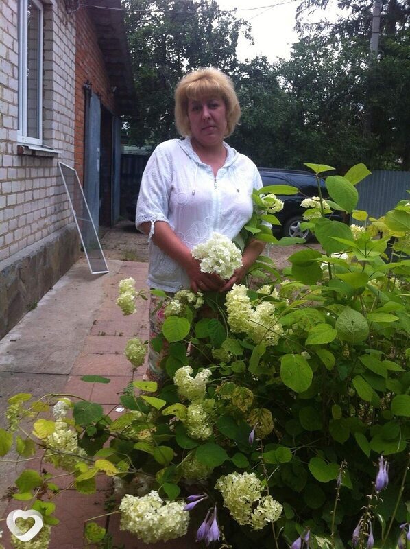 Елена, 53, Бронницах — анкета №3400508