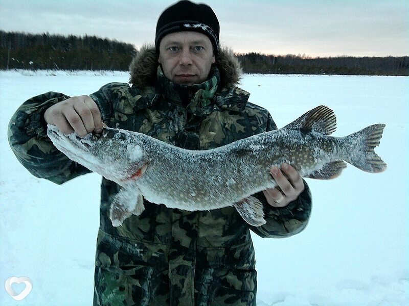 Александр, Тавда