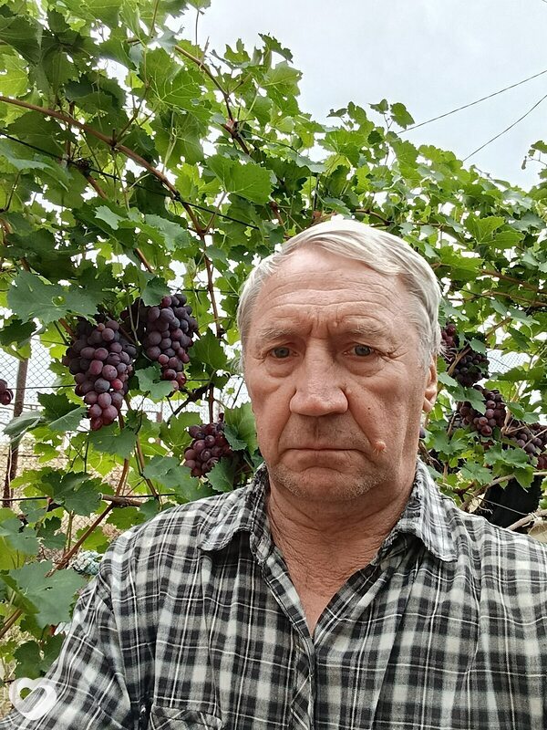 Александр, 69, Волгодонске — анкета №3409645