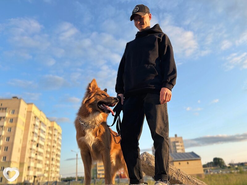 Андрей, 29, Вологде — анкета №3420726