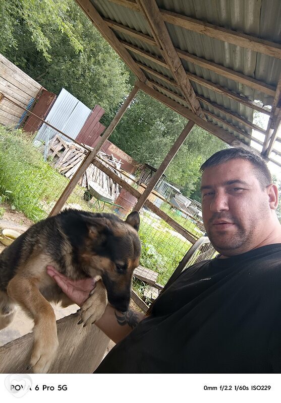 Роман, 32, Балакове — анкета №3421981