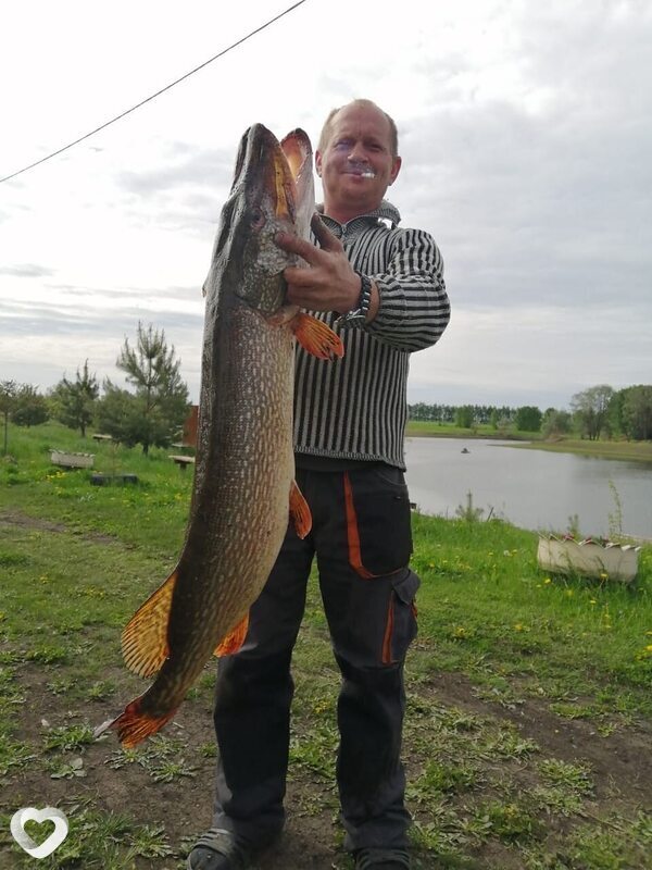 Лешка, 41, Курске — анкета №3422308