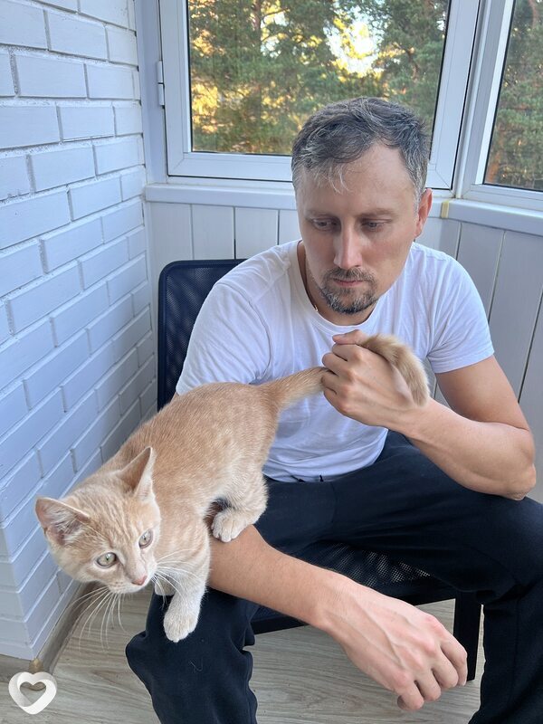 Алексей, 40, Протвине — анкета №3422568