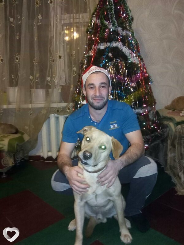 Денис, 37, Горловке — анкета №3424850