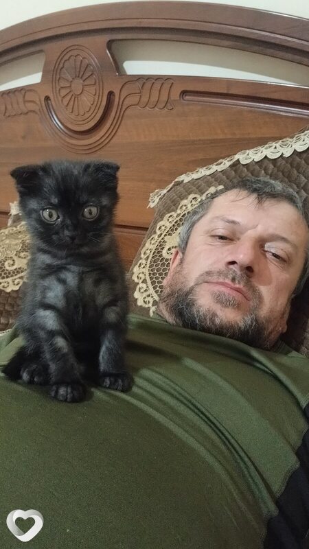 Руслан, 36, Краснодаре — анкета №3430401