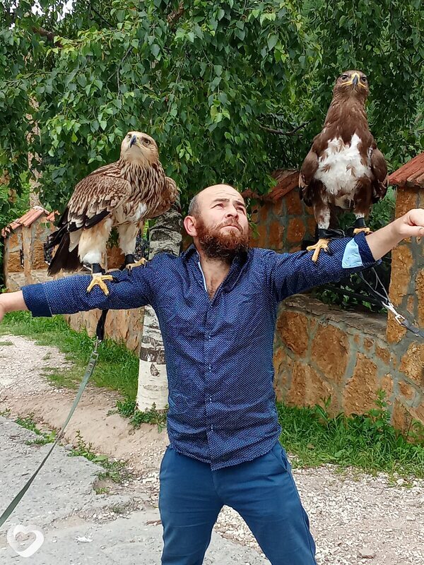 Алим, Черкесск