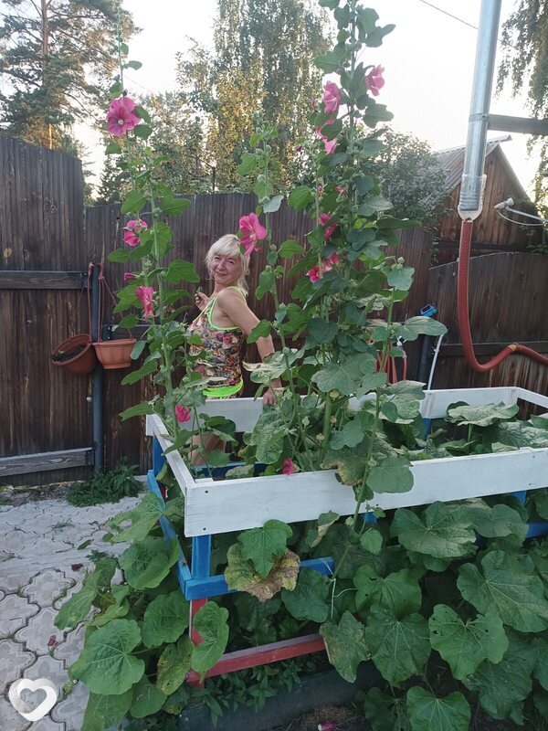 Алла, 55, Красноярске — анкета №3432993