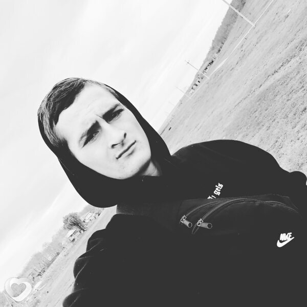 Vasile, Фалешты