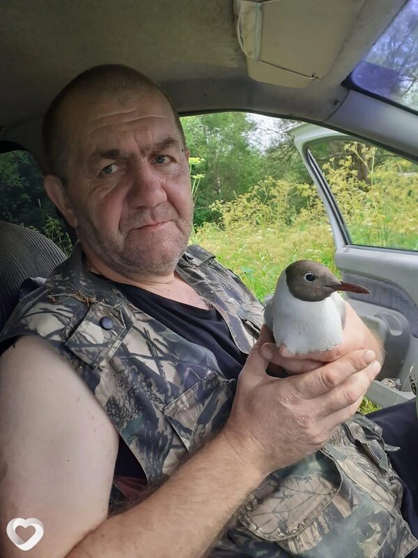 Алекс, Кимры