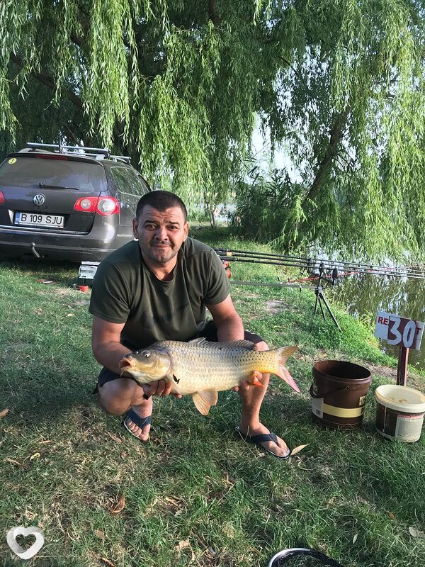 Andrei, București