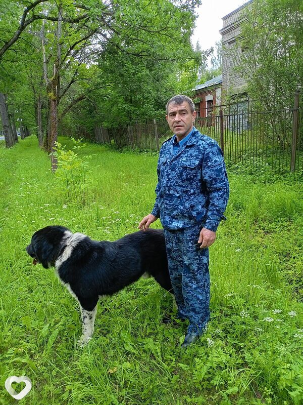 Виктор, 47, Санкт-Петербурге — анкета №3450762