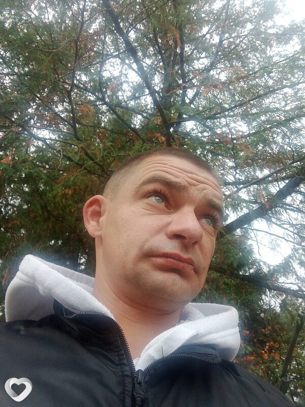 Алксей, Столин
