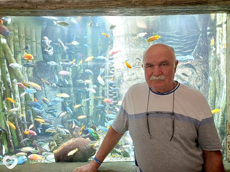 Анатолий, 70, Краснодаре — анкета №3456669