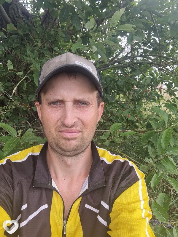 Штайнер, 34, Нижнем Новгороде — анкета №3460402