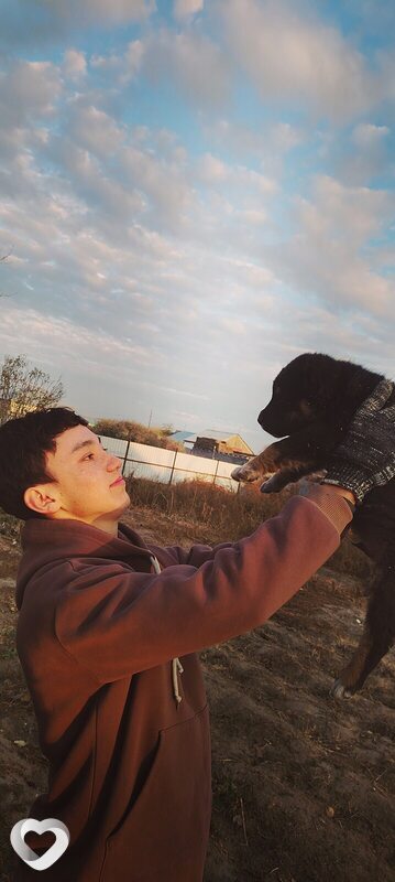 Ernar, 21, Семей — анкета №3463185