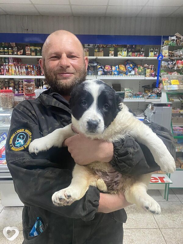 Евгений, 35, Волгограде — анкета №3468929