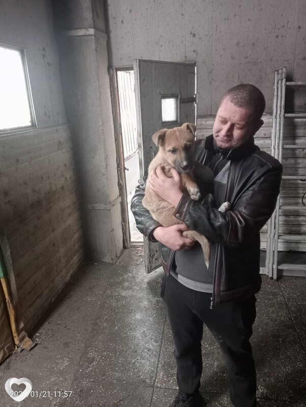 Денис, 34, Полтаве — анкета №3471892