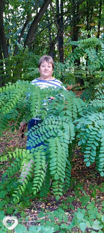 Елена, 55, Липецке — анкета №3484418