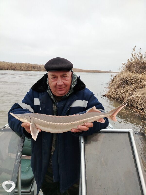 Александр, 50, Астрахани — анкета №3496349