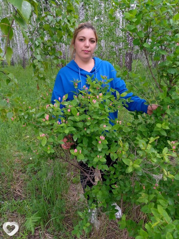 Юзефа, 32, Новосибирске — анкета №3497074