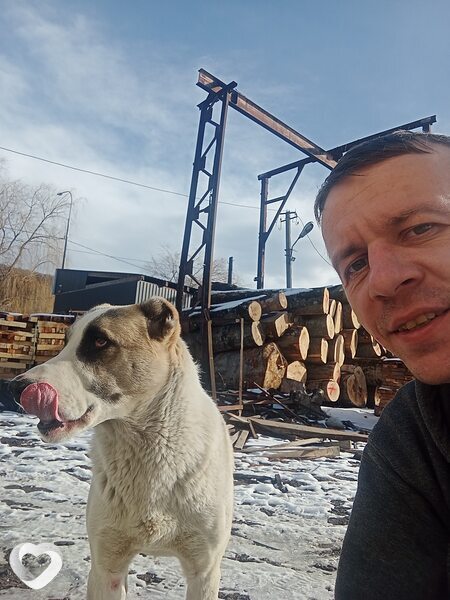 Алексей, Светлогорск