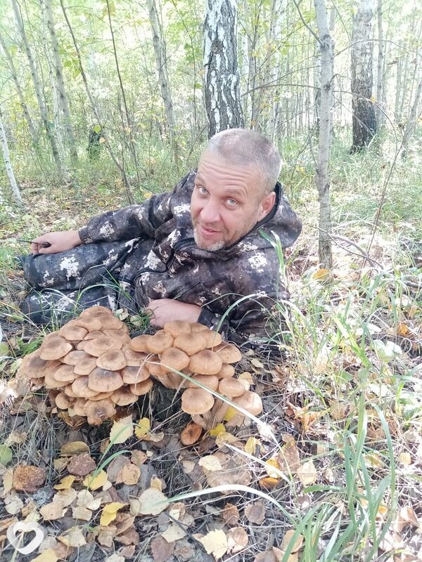 Алексей, 51, Челябинске — анкета №3503745