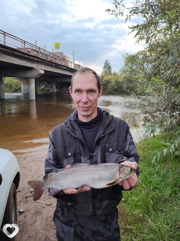 Дмитрий, 52, Братске — анкета №3504098