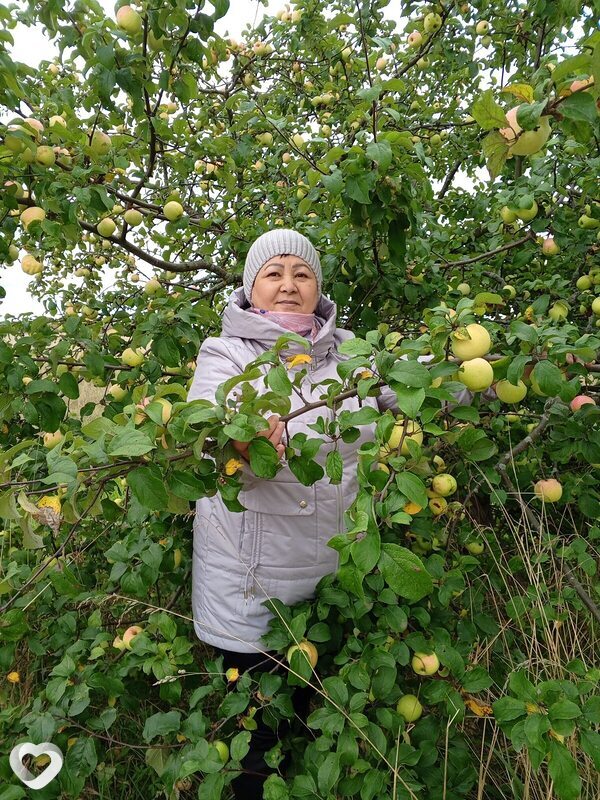 Рита, 56, Костроме — анкета №3512589
