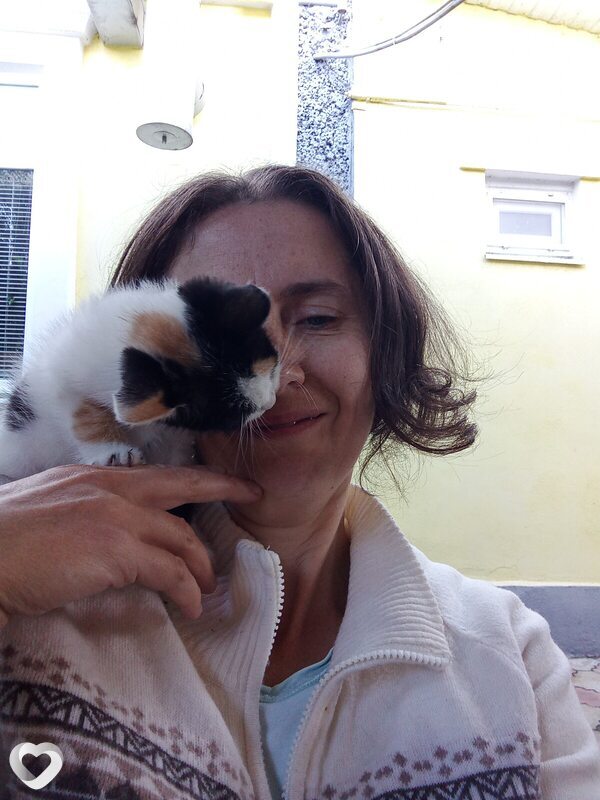Натали, 49, Ростове-на-Дону — анкета №3523327