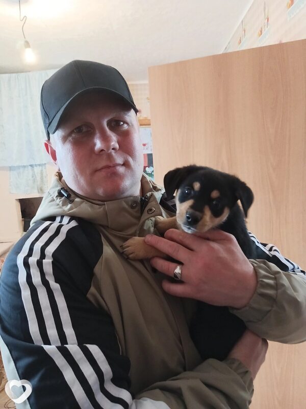 Максим, 33, Ишиме — анкета №3523823