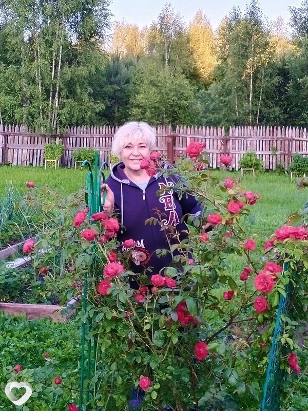 Ольга, 60, Владимире — анкета №3527935