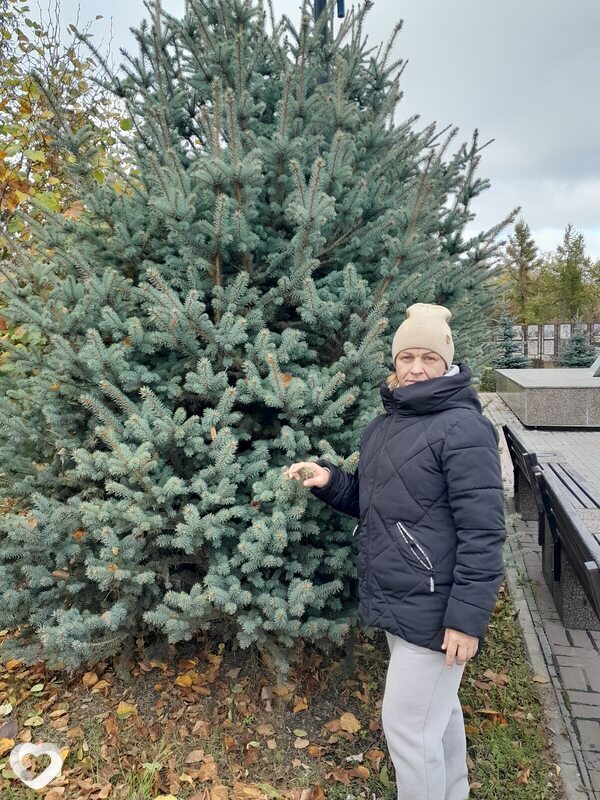 Евгения, 40, Омске — анкета №3531008
