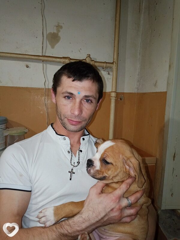 Владимир, 34, Воронеже — анкета №3533036
