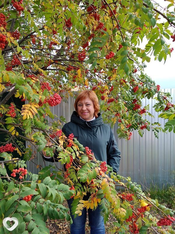 Наталья, 49, Димитровграде — анкета №3533399